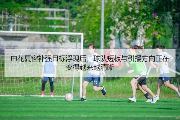 申花夏窗补强目标浮现后，球队短板与引援方向正在变得越来越清晰 | IGAME